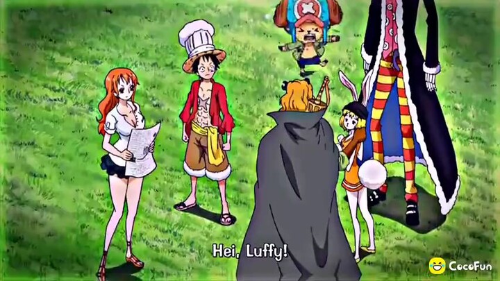 Luffy ketika masak