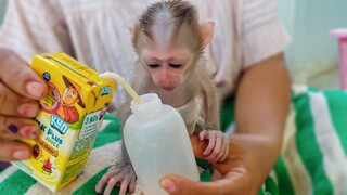 Feed Milk Plus Juice For Tiny Adorable Luca For The First Time  The Juice Milk Is Good For Health