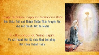 ave maria kính chào mẹ đồng trinh vô nhiễm