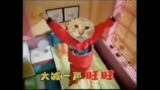 耄耋早上起床第一件事...