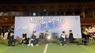 全员猫耳~七人全男版AOA《猫步轻悄》