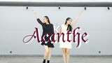 [es flip] Acanthe/Ranunculus song-Valkyrie (self-made dance blank part)