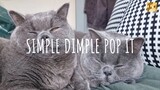 Simple Dimple Pop It (remix) - M&A, Бэтси // (Vietsub + Lyric) Tik Tok Song