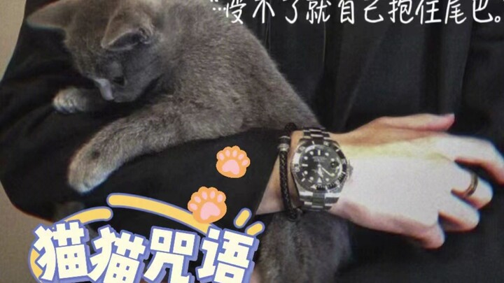 女性向音声｜Vol.30｜猫猫咒语｜猫塑、甜饼（36分预览）