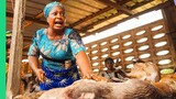 Extreme Bushmeat!! Nigeria's WILD Animal Markets!!