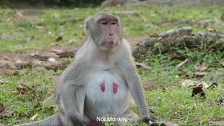 Jane Activity Before She Give Birth Look Very Sad, Jane Look So Worry About Her New Born