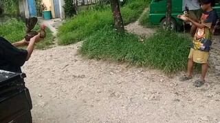 panalo na sana tumakbo pa syang