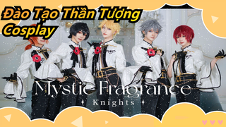 [Đào Tạo Thần Tượng] 4K HD! Để cảm nhận vẻ đẹp! Cos♞ Mystic Fragrance ♞Knights