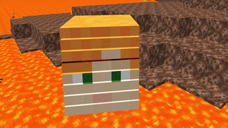 โลก Minecraft ที่ถูกสาปถึงกับโดน NETHER