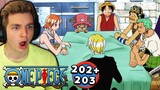 the straw hats and going merry | One Piece Episode 202 + 203