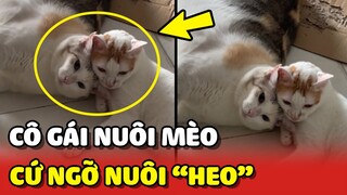 Nỗi khổ của cô Sen khi NUÔI MÈO mà cứ ngỡ "NUÔI HEO" 😂 | Yêu Lu