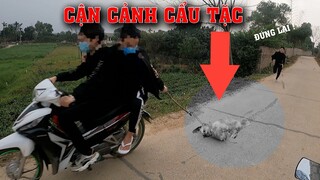 Cận Cảnh Cẩu Tặc Bắt Trộm Chó Giữa Ban Ngày - Cái Kết Đau Thương