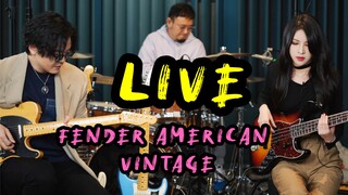 贝斯手与Fender American Vintage II的Live
