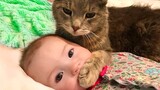 Funny Cats and Baby Playing Together ✪ Try Not To Laugh