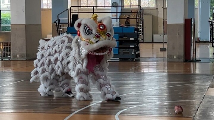 咕｜给大家舞一段（大学生体育课考试 可以赞 不要脸）