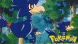 Pokémon Tập 186: Yamikarasu! Kẻ Cướp Huy Chương!! (Lồng Tiếng)