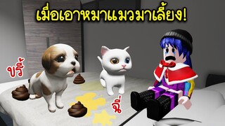 เมื่อเอาหมาแมวมาเลี้ยง ปรากฎว่า... | Roblox 🎉 Pet Party