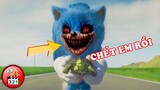 NGÃ NỬA Với 5 Sự Thật Động Trời Của Nhím Sonic | Sonic The Hedgehog