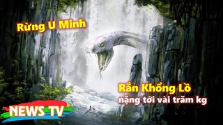 Dựng tóc gáy về Rắn Khổng Lồ nặng tới vài trăm kg ở rừng U Minh