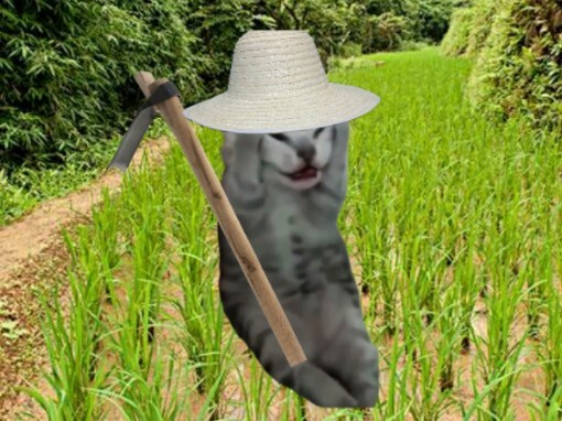 [Cat meme] Because there are no games to play, I played Stardew Valley and started endless farming.