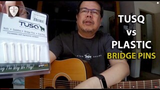 Tusq Bridge Pins vs Plastic Bridge Pins Comparison  Acoustic Guitar | Edwin-E
