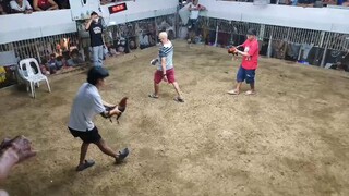 chamba nanaman manga  boss🐓🐓