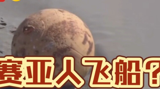 Unidentified sphere discovered off Japan coast