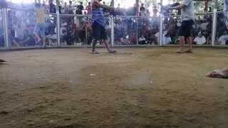 tsamba 2 da max!
