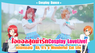 ไอดอลสุดน่ารักCosplay LoveLive! เต้นเพลง -"Ah, It's a Wonderful Cat Life" ดีจริง ๆ นะมาดูกัน