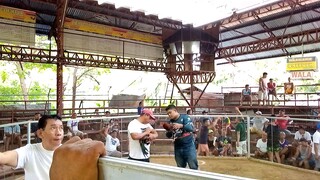 2nd fight panalo ulit nka chamba champion🏆🏆 #MWR Oslob Cockpit Arena