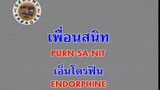 เพื่อนสนิท (Purn Sa Nit) - เอ็นโดรฟิน (Endorphine)