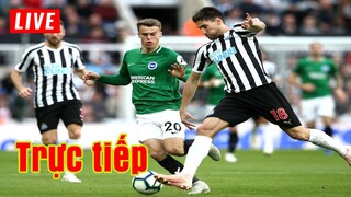 🔴 Trực tiếp Newcastle vs Brighton | Vòng 28 Premier League