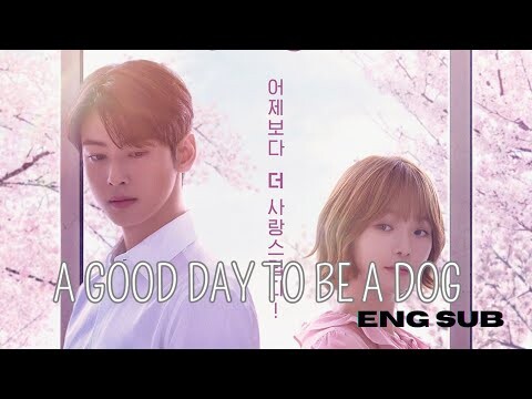 A Good Day To Be A Dog | Trailer 3 | Korean drama [Eng Sub] | Park Gyu Young and Cha Eun Woo