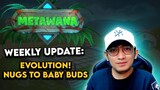 Metawana Weekly Update! - Evolution is Coming! | TAGALOG
