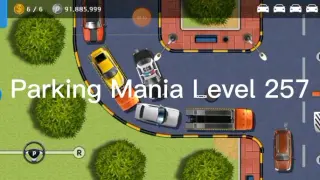 Parking Mania Level 257