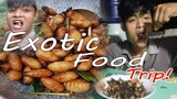 Exotic Food Trip!😋