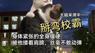 【猫meme动画】高中不小心掰弯校霸这件事1（初识篇）