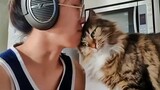 Woman Has The Purest Friendship With Her Cats - Cat and Owner Are Best Friends