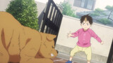 Bola Voli Anak Laki-Laki｜Itu adalah masa kecil Nishitani Yu! ! !