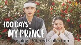 100 DAYS MY PRINCE Episode 14 Tagalog Dubbed
