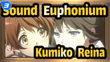 [Sound! Euphonium] Kumiko Oumae&Reina Kousaka--- Dream and You, I'll Get All_3