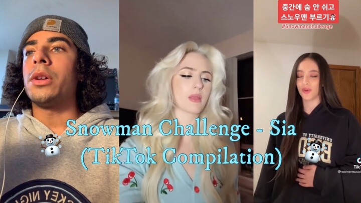 Snowman Challenge - Sia☃️❄️ (TikTok Compilation)