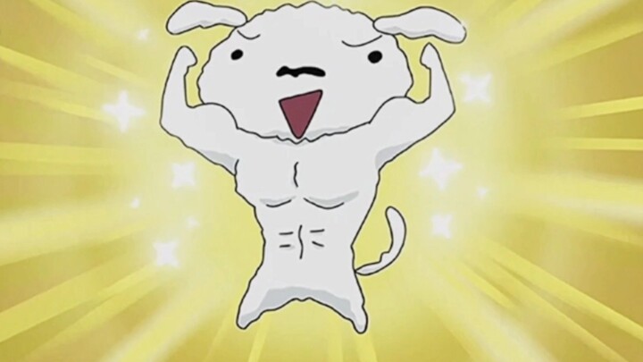 Catatan harian Xiaobai tentang penurunan berat badan demi cinta! Crayon Shin Chan