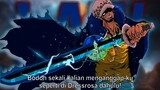 SALAH KAPRAH LUAR BIASA MENGENAI KEMAMPUAN TRAFALGAR LAW! - One Piece 1041+ (Teori)