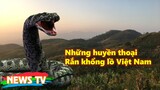Những huyền thoại rắn khổng lồ ở Việt Nam