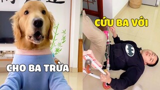 Tứ Mao | PAPA Dám Ăn Vụng Của Tứ Mao Và Cái Kết 😂 Gâu Đần Official