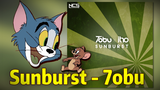 [Electronic Tom and Jerry] Sunburst