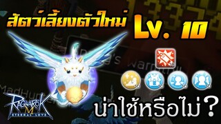 แนะนำ! สัตว์เลี้ยงตัวใหม่ สารพัดประโยชน์ สายถึก ดาเมจกายภาพ | Ragnarok M Eternal Love