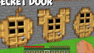 ฉันพบประตูลับในรูปแบบของไอเท็มใน Minecraft! เลือกประตูไหน