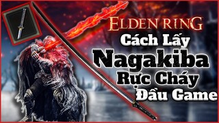 Elden Ring | Hướng dẫn Lấy Combo THAY THẾ cho River Of Blood giai đoạn Đầu Game